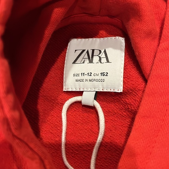 ZARA Embroidered Cropped Hoodie - Picture 3 of 8